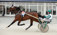 Maharajah i kvallopp och för första gången med Örjan i sulkyn. Foto; ALN